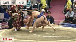 もはや怪物…土俵に叩きつけた！ 20歳の“規格外”力士が本領発揮 館内喝采