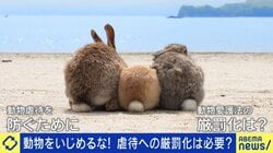 動物虐待の厳罰化…なぜ進まない？かつては「器物損壊」と同様の“モノ扱い”時代も 最大懲役5年でもまだ足りない？