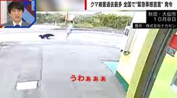 「うわぁぁぁ！」散歩中の女性にクマが飛びかかる瞬間… コンビニへ避難も4針縫うケガ