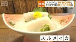 スルメイカ高騰　1杯3800円も　漁獲量減少、海水温上昇とクロマグロが脅威に