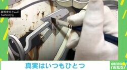 再生回数150万超え！どう見ても“立体的な絵”に困惑の声殺到「脳がバグる」