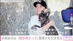 繁殖犬として散歩も抱っこもなく出産するためだけに生きてきた 浜崎あゆみ、保護犬2匹の過去を明かす