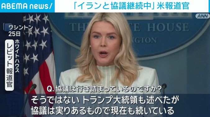 レビット報道官