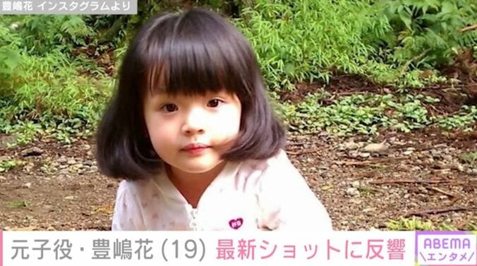 豊嶋花