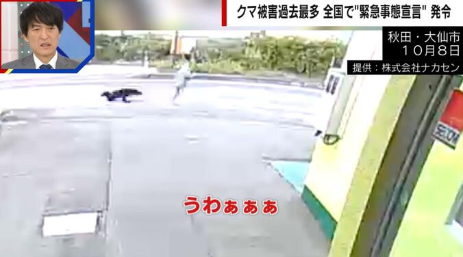 【写真・画像】「うわぁぁぁ！」散歩中の女性にクマが飛びかかる瞬間… コンビニへ避難も4針縫うケガ　1枚目