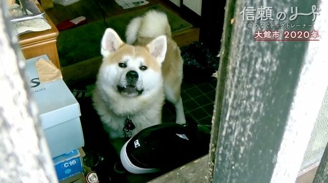 2020年の大河