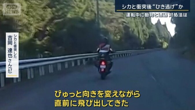 吉岡達也さん