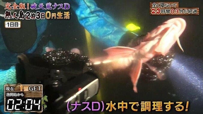 ナスDのワイルドすぎる“海中ランチ”に反響！  視聴者から「無呼吸おどり食い」「産地直食」の声 9枚目