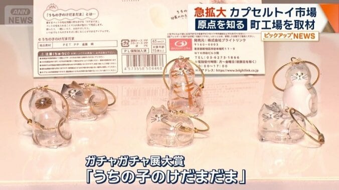 うちの子のけだまだま