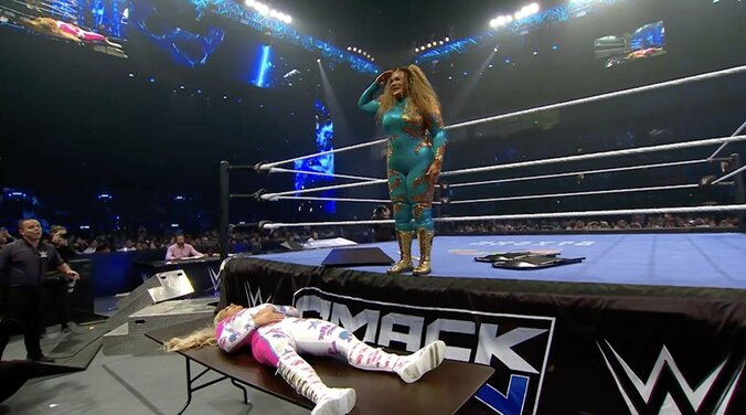 ダイブ直前、敬礼ポーズをみせるナイア