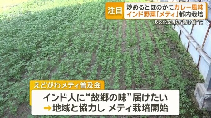 「ふるさとの味」を届けようと始まった栽培