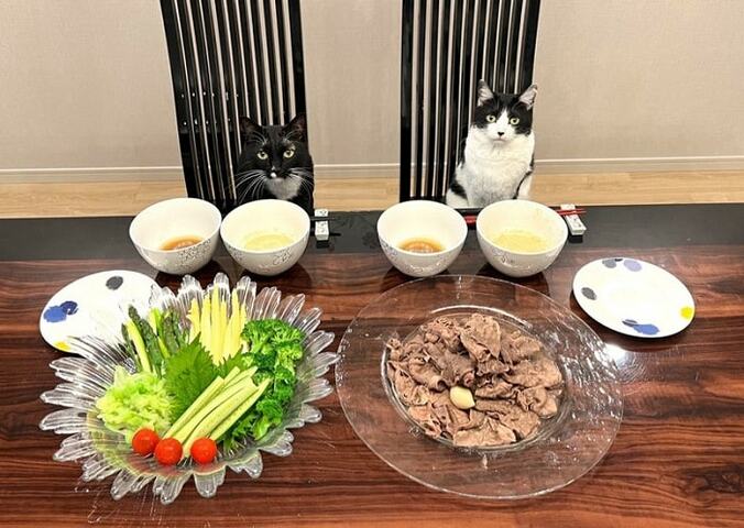  藤あや子、すごい量を完食した“ヤバイ”夕食を公開「美味しすぎました～」  1枚目