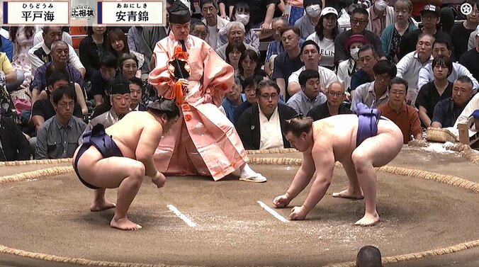 【写真・画像】　1枚目