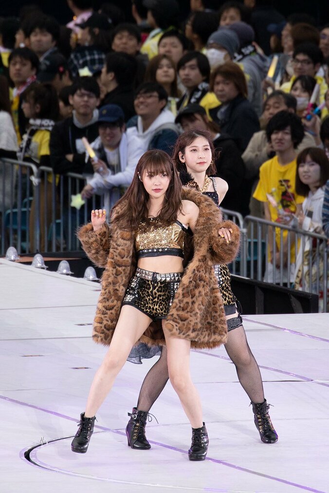 松本人志、指原莉乃から卒業コンサート参加の相談を受け「パチンコの営業と迷うな」 5枚目