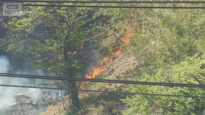 岩手・大槌町で再び山林火災が発生　クマ3頭確認で地上消火を見合わせ 1枚目