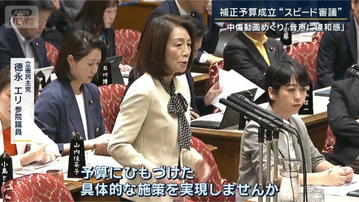 立憲民主党　徳永エリ参院議員