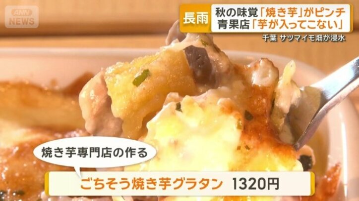 グラタンも人気