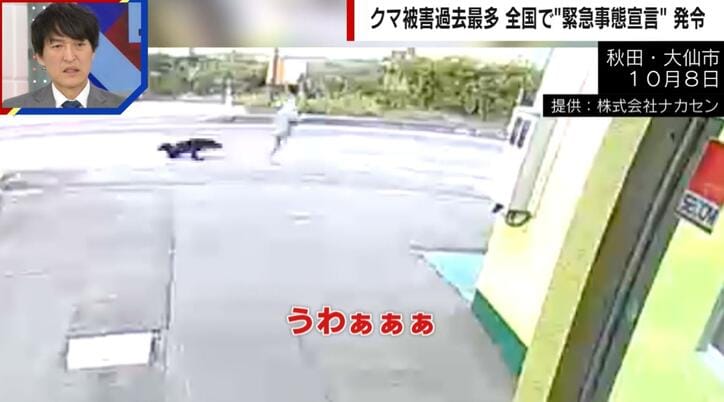 【写真・画像】「うわぁぁぁ！」散歩中の女性にクマが飛びかかる瞬間… コンビニへ避難も4針縫うケガ　1枚目