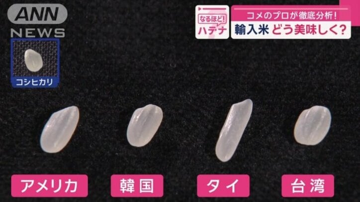 違いは?