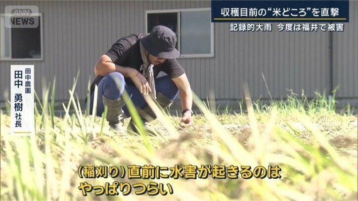 田中勇樹社長