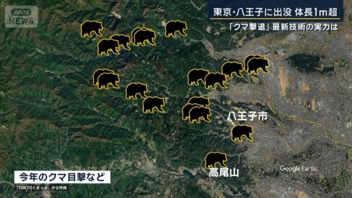 クマの目撃情報
