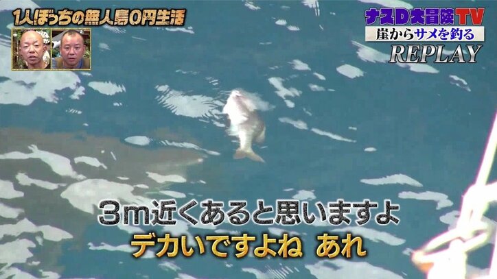 サメが海面の生き餌を捕食する瞬間、ナスDは…「恐怖心よりも神々しさを感じた」
