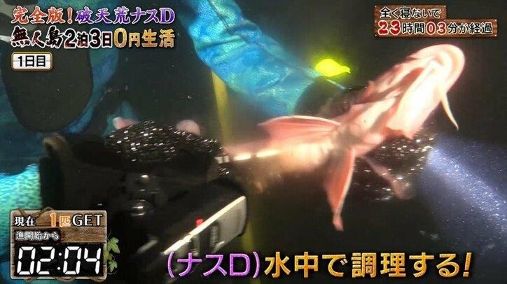 ナスDのワイルドすぎる“海中ランチ”に反響！  視聴者から「無呼吸おどり食い」「産地直食」の声