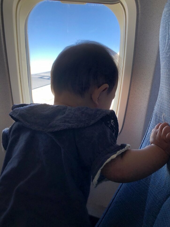 大渕愛子弁護士、飛行機内での子ども達の様子を明かす「大物ぶりを発揮」