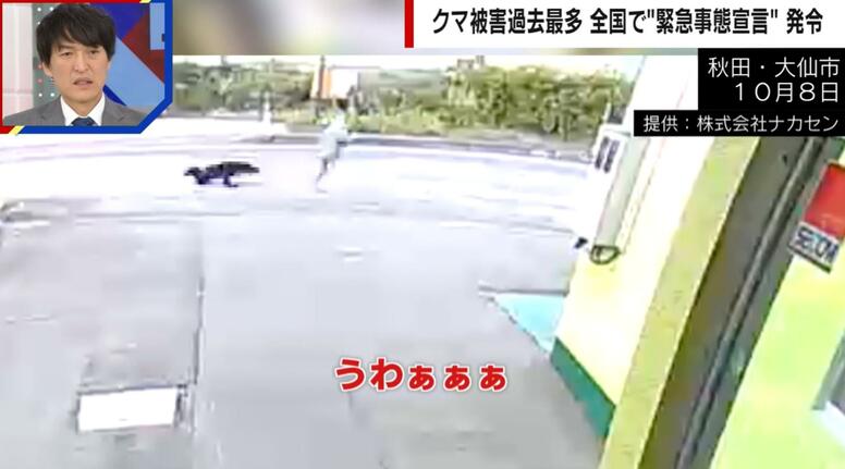 「うわぁぁぁ！」散歩中の女性にクマが飛びかかる瞬間… コンビニへ避難も4針縫うケガ