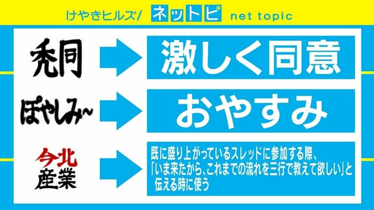 禿 同 と は