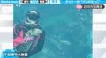 ダイバーが“ウツボだっこ”する珍光景が「懐くんだ…（笑）」と話題 下田水族館が「真似しないで」と呼びかける“海のギャング”は意外に大人しい？