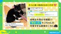 投稿者も思わず興奮!?猫が“挟まった”可愛すぎる姿に「食べちゃいたい！」と反響続々
