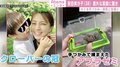 安田美沙子、セミを手掴み！ 長男と初めての虫捕りへ「いつまでも覚えていて欲しい」