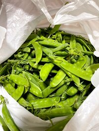 北斗晶『今日の夕食』