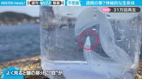 【映像】透明にゆらめく謎の生命体