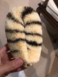 イモトアヤコ『新習慣』