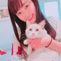 福原遥、癒しの“猫ちゃん”との写真にファン悶絶「神様級に可愛い」