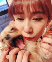 岡井千聖『言ってよー！(T-T)』