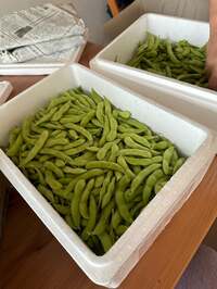 野田聖子『閉会後』