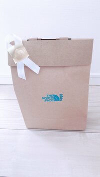 平野ノラ『イモトアヤコさん』