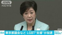 社会ニュース - LGBT差別めぐり　都や区で“支援”の動き加速 | 動画視聴はAbemaビデオ(AbemaTV)