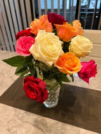 堀ちえみ『いつものこと』