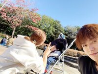 杉浦太陽『パパ・ママ友とピクニック』