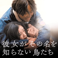 映画「彼女がその名を知らない鳥たち」
