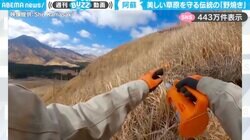 炎に包まれる阿蘇山麓！計画的な伝統の“野焼き”に「こうでもしなきゃ今の日本に草原は存在できない」