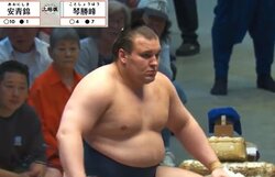 「見てられない」「歩き方がもう…」安青錦、花道を下がっていく姿にファン悲痛 「限界を超えてる」「休ませてあげて」