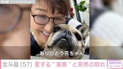 「震え泣くことしかできませんでした」北斗晶、愛犬と突然の別れ「信じられません」「幸せだったと思います」ファンからも悲しみの声