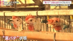 食卓にも深刻な影響 　40℃に迫る危険な暑さ 相次ぐ熱中症