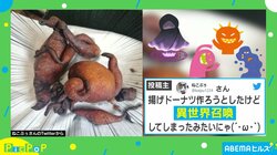 手作りの揚げドーナツの姿が… 投稿主「“異世界召喚”してしまった」