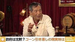 レバノン逃亡中のゴーン被告 日本の対応に丸山弁護士が危機感「舐められているし、馬鹿にされている」
